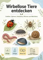 Vorschau - Arbeitsblätter - Wirbellose Tiere entdecken – Insekten, Spinnen, Krebstiere, Würmer und Weichtiere - Deckblatt