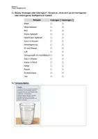 Vorschau - Arbeitsblätter - Arbeitsmaterial: Einteilung Stoffgemische (PPT + bearbeitbar) - Seite 2
