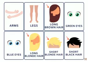 anteprima - Flashcard - Parts of the body flashcards - Pagina 3