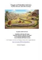 anteprima - Poster - Paleolitico inferiore: schede ominidi +linea del tempo - Pagina di copertina