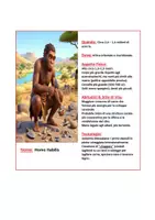 anteprima - Poster - Paleolitico inferiore: schede ominidi +linea del tempo - Pagina 1