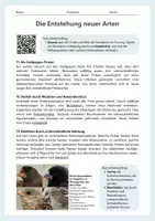Vorschau - Arbeitsblätter - Die Entstehung neuer Arten – Darwinfinken, Selektion und Isolation einfach erklärt - Seite 1