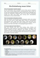 Vorschau - Arbeitsblätter - Die Entstehung neuer Arten – Darwinfinken, Selektion und Isolation einfach erklärt - Seite 2
