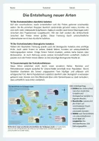 Vorschau - Arbeitsblätter - Die Entstehung neuer Arten – Darwinfinken, Selektion und Isolation einfach erklärt - Seite 3