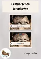 Vorschau - Aufgabenkarten - Lesekärtchen- Die Schildkröte (+Silbenschrift) - Deckblatt