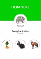 Vorschau - Arbeitsblätter - Das Zwergkaninchen: Steckbriefe (ausgefüllt/ blanko, Info-Text) - Deckblatt