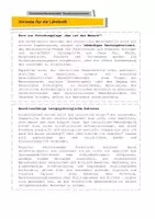 Vorschau - Stundenentwürfe - Drucklos unterrichten: Christliches Menschenbild - Folgen der Ebenbildlichkeit - Seite 3
