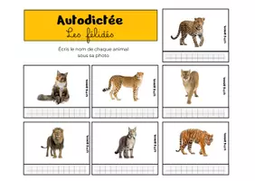 Aperçu - Apprentissages en autonomie - Autodictée - les animaux sauvages - Page 2
