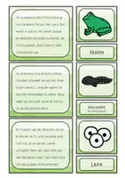 Vorschau - Stationenlernen - Der Frosch - Lesezuordnung Metamorphose / Lebenszyklus - Seite 2
