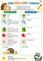 Vorschau - Arbeitsblätter - Einen Steckbrief schreiben - Tiere Klasse 2 Klasse 3 Aufgaben Arbeitsblatt Tiere Sachunterricht Download kostenlos gratis Grundschule Merkmale beschreiben - Deckblatt