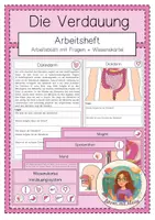 Vorschau - Arbeitsblätter - XXL Materialpaket zur Verdauung - Seite 1