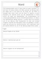 Vorschau - Arbeitsblätter - Die Verdauung (Mensch): Arbeitsheft mit Verständnisfragen + Wissenskartei + Impuls für Stundenaufbau - Seite 3