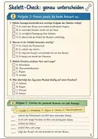 Vorschau - Text - Bewegungssystem Klasse 5-6: Muskeln Gelenke - Seite 2