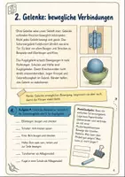 Vorschau - Text - Bewegungssystem Klasse 5-6: Muskeln Gelenke - Seite 3
