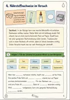 Vorschau - Text - Ernährung & Verdauung Klasse 5-6: Arbeitsblätter - Seite 3