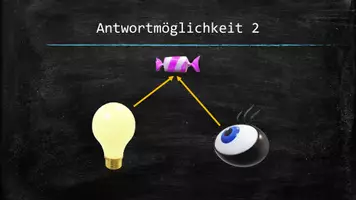 Vorschau - Arbeitsblätter - Sehvorgang - Merkblatt + Präsentation + Quiz! - Seite 3