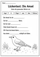 Vorschau - Arbeitsblätter - Amsel Lebenszyklus - Interaktives Faltbuch & Steckbrief - Seite 2