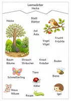 Vorschau - Arbeitsblätter - Schulmonsterstarke Lernwörter: Hecke - Seite 3
