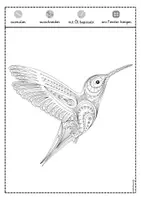 Vorschau - Mal- und Bastelvorlagen - Sommer Fensterbild Vögel - Seite 1