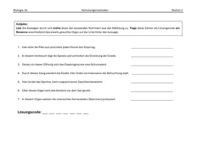 Vorschau - Arbeitsblätter - Breakout / Escape Room - Verhütungsmethoden spielerisch erarbeiten - Seite 3