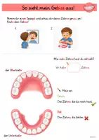 Vorschau - Unterrichtsreihen - Forscherheft Zähne Klasse 1 SU - Seite 2