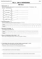 Vorschau - Stundenentwürfe - Genetik Klausurtraining Klasse 10-11 | DNA, Mitose, Meiose, Mendel & Vererbung | mit Lösungen - Seite 3