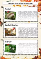 Vorschau - Arbeitsblätter - Herbsttiere Lesetexte: Igel, Eichhörnchen, Fuchs & Reh - Seite 1