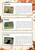 Vorschau - Arbeitsblätter - Herbsttiere Lesetexte: Igel, Eichhörnchen, Fuchs & Reh - Seite 2