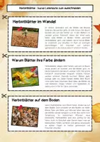Vorschau - Arbeitsblätter - Herbstblätter Lesetexte: Herbst, Natur & Bäume - Seite 1