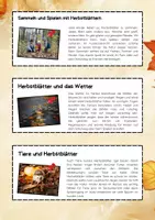 Vorschau - Arbeitsblätter - Herbstblätter Lesetexte: Herbst, Natur & Bäume - Seite 2