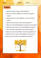 Vorschau - Arbeitsblätter - Herbstblätter Lesetexte: Herbst, Natur & Bäume - Seite 3