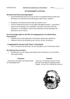 Vorschau - Merkblätter - Klassenbegriff von Karl Marx - Sozialstruktur - Seite 2