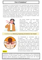 Vorschau - Arbeitsblätter - Was ist Muskelkater? Training & Regeneration - Seite 1