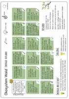 Vorschau - Arbeitsblätter - ONEPAGER im Biologieunterricht: Ökosystem WALD - kreativ + differenziert - Seite 3
