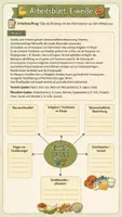 Vorschau - Arbeitsblätter - 🍎 Alles rund um die Verdauung 📚 Komplett-Bundle Materialpaket für Klasse 7/8+ Klassenarbeit - Seite 1