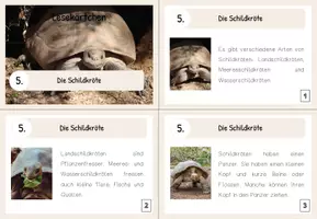 Vorschau - Aufgabenkarten - Lesekärtchen- Die Schildkröte (+Silbenschrift) - Seite 1