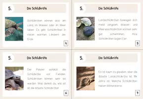 Vorschau - Aufgabenkarten - Lesekärtchen- Die Schildkröte (+Silbenschrift) - Seite 2