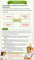 Vorschau - Arbeitsblätter - 🏃 Kohlenhydrate – Der Treibstoff für Bewegung, Lernen und Denken - Seite 3