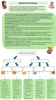 Vorschau - Arbeitsblätter - 🥗 Mikro- und Makronährstoffe – Die Bausteine einer gesunden Ernährung - Seite 1