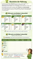 Vorschau - Arbeitsblätter - 🥗 Mikro- und Makronährstoffe – Die Bausteine einer gesunden Ernährung - Seite 2