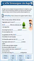 Vorschau - Arbeitsblätter - 👁️🧠 Die Sinnesorgane & das Nervensystem 📚🥼 Das große Unterrichts-Bundle für Klasse 7/8 Materialpaket - Seite 2