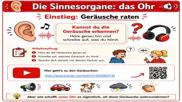 Vorschau - Arbeitsblätter - 🔊 Das Ohr – Aufbau und Funktion eines faszinierenden Sinnesorgans - Deckblatt