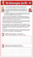 Vorschau - Arbeitsblätter - 🔊 Das Ohr – Aufbau und Funktion eines faszinierenden Sinnesorgans - Seite 3