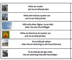 förhandsvisning - Naturdetektivens Sommaruppdrag - En rolig utmaning för F-2 - försättsblad