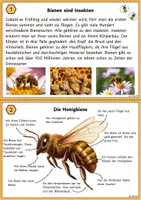 Vorschau - Unterrichtsreihen - Die Biene - Unterrichtsreihe / Lerntheke - Seite 1