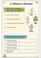Vorschau - Text - Jahreslauf Biologie Klasse 5-6: Themenheft - Seite 2