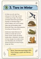 Vorschau - Text - Jahreslauf Biologie Klasse 5-6: Themenheft - Seite 3