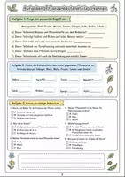 Vorschau - Experimente - Nutzpflanzen Klasse 5-6: Biologie Aufgaben - Seite 2