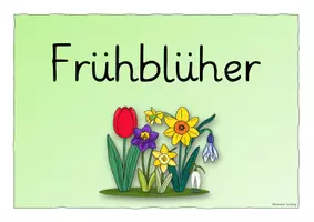 Vorschau - Poster - Freebie: Themenplakat zu Frühblühern - Seite 1