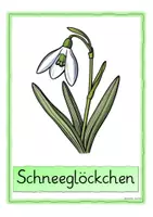 Vorschau - Poster - Freebie: Wort-Bild-Karten zu Frühblühern - Seite 3